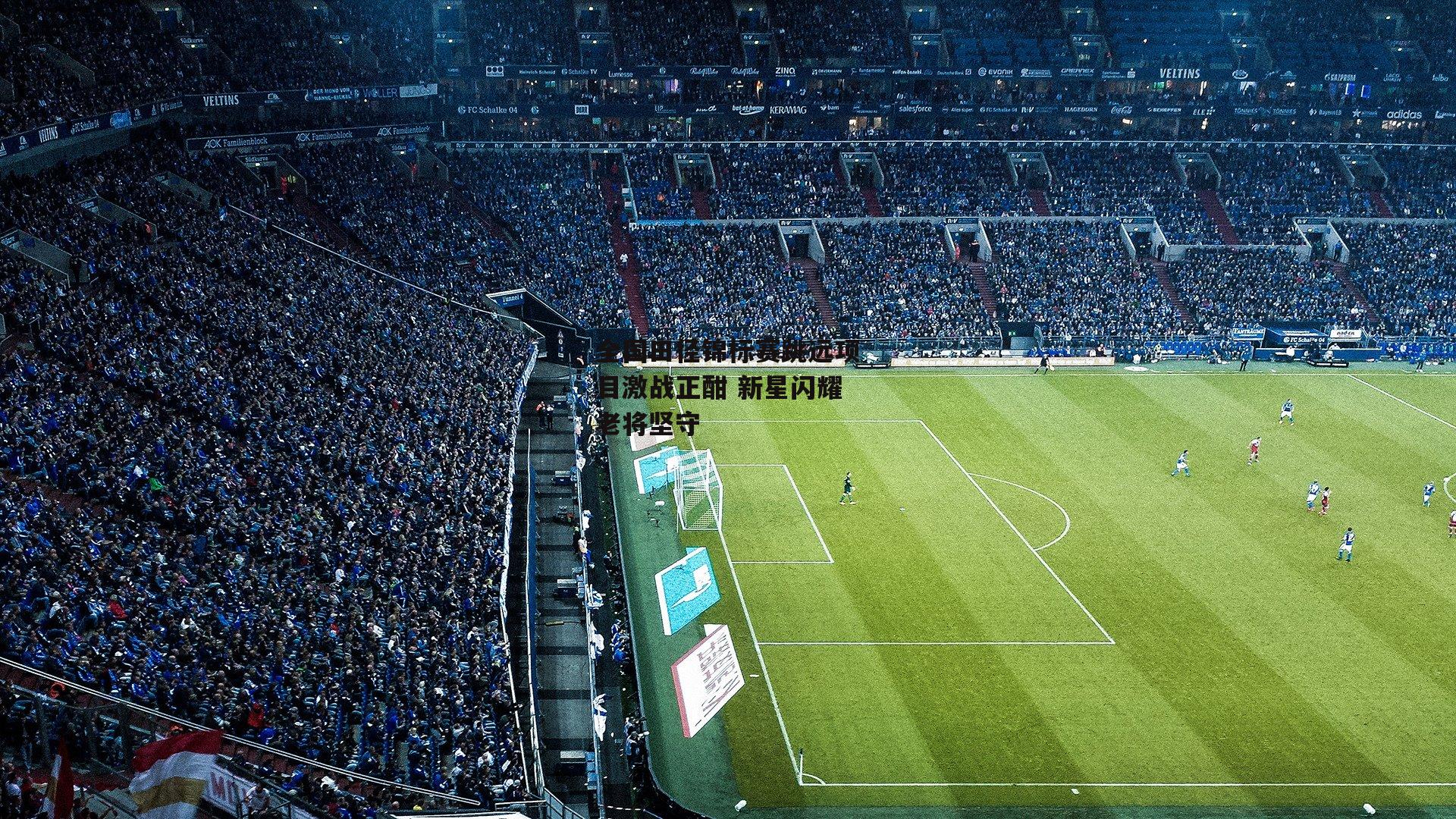 全国田径锦标赛跳远项目激战正酣 新星闪耀老将坚守