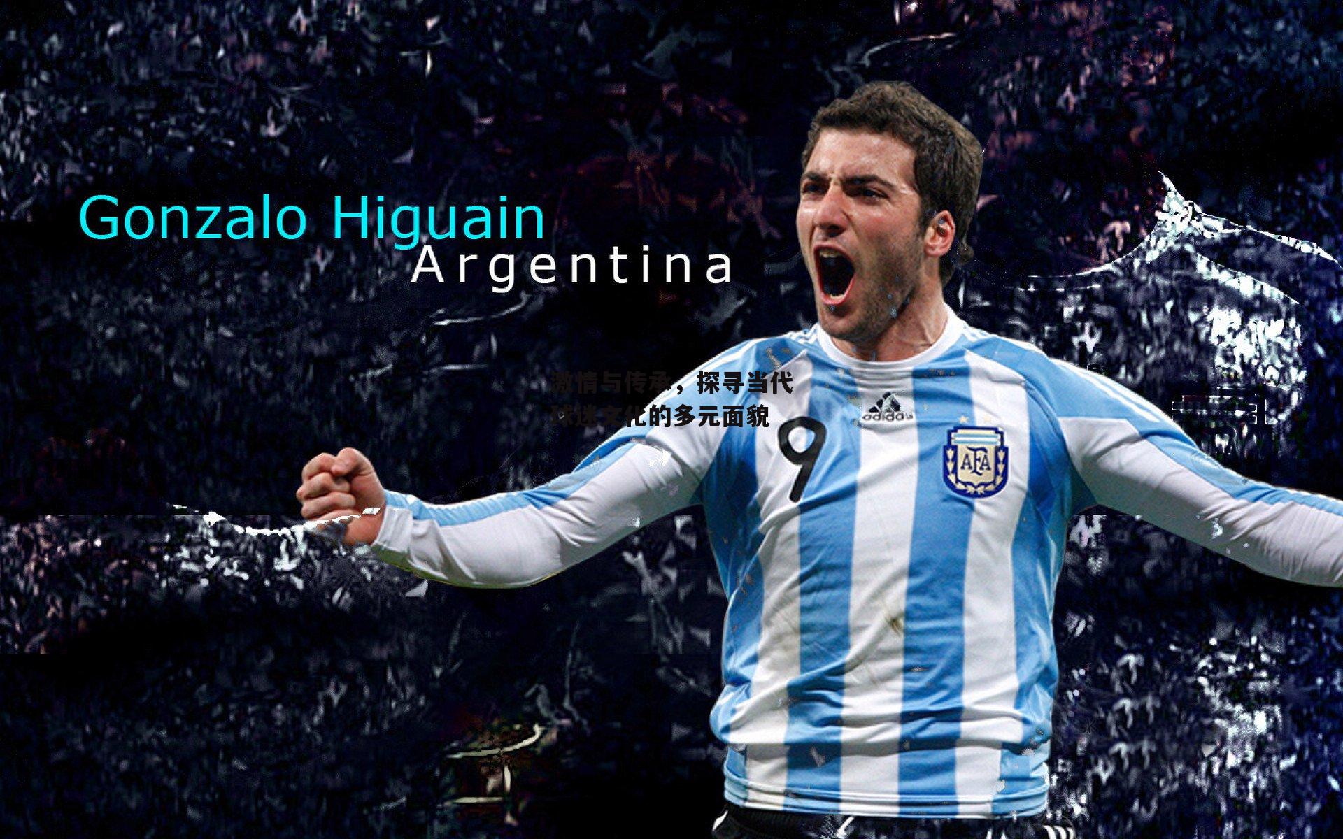 激情与传承,探寻当代球迷文化的多元面貌